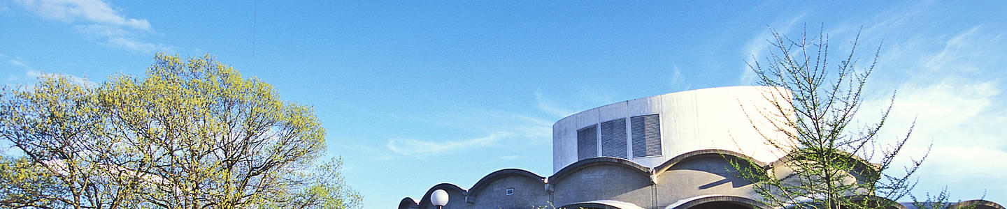 Brandeis University banner